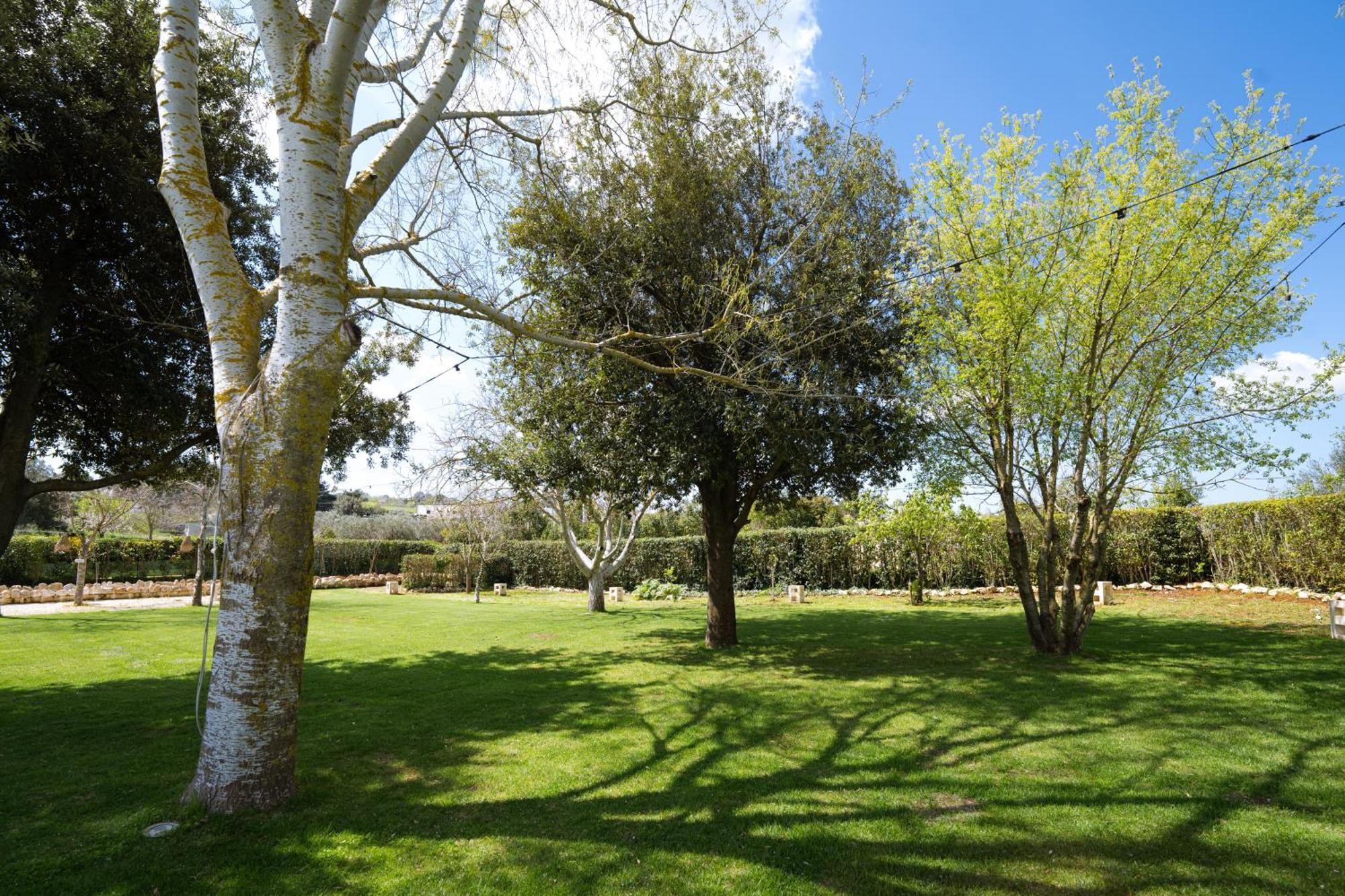 مارتينا فرانكا Masseria San Michele المظهر الخارجي الصورة
