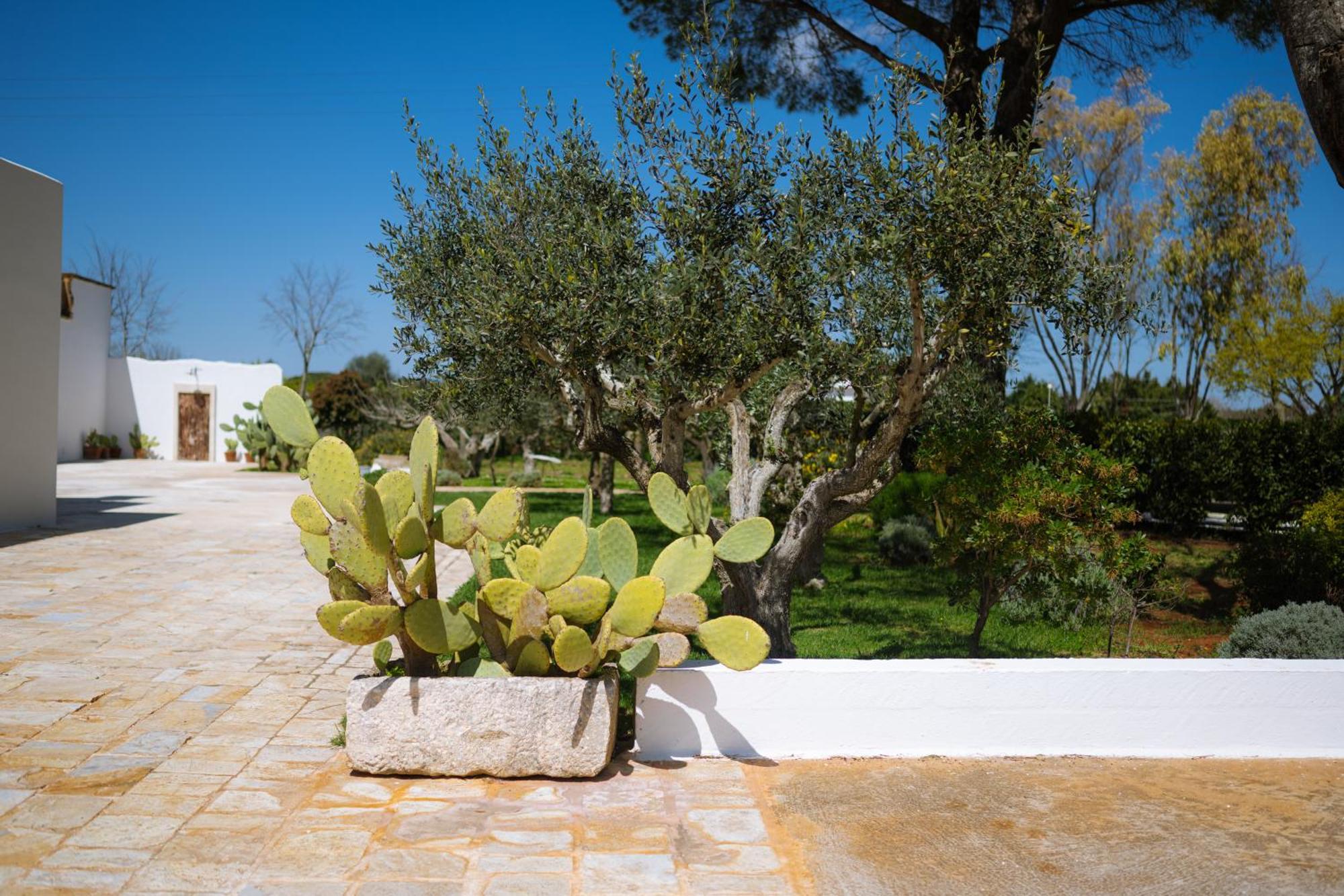 مارتينا فرانكا Masseria San Michele المظهر الخارجي الصورة